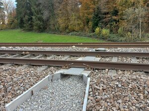 Waldstudio Amphibienpassage Gleis