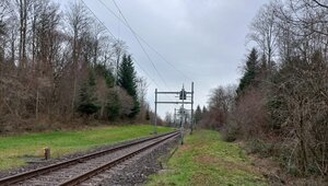 Waldstudio Bahnlinie Wald Bäume Vegetationsprofil